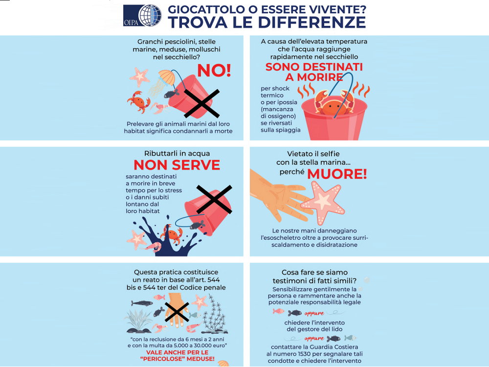 locandina_oipa_sensibilizzazione_fauna_marina