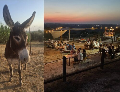 Una serata speciale per gli animali, realizzata da persone speciali