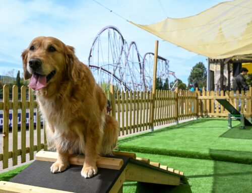 A MagicLand gli amici a quattro zampe entrano con le famiglie nel Parco e diventano parte del divertimento