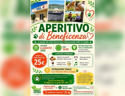 Chieti, aperitivo di beneficenza per animali senza famiglia
