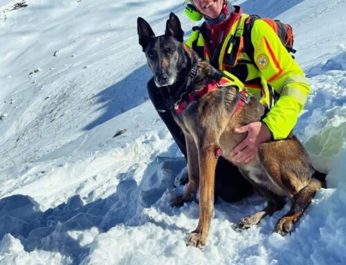 Addio a Zen, cane soccorritore del CNSAS Piemonte