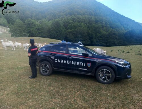 Intervento dei Carabinieri Forestali a Poggio Bustone per il contrasto al pascolo abusivo