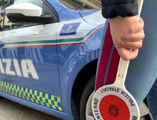 Sette cani soffocati sull’Autobrennero. On. Brambilla: “Atrocità che lascia senza parole”