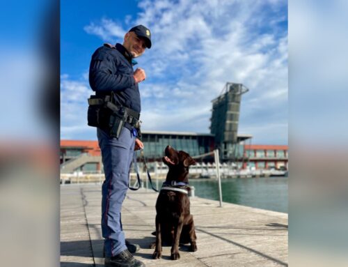 Addio Kinder poliziotto a quattro zampe della Questura di Firenze