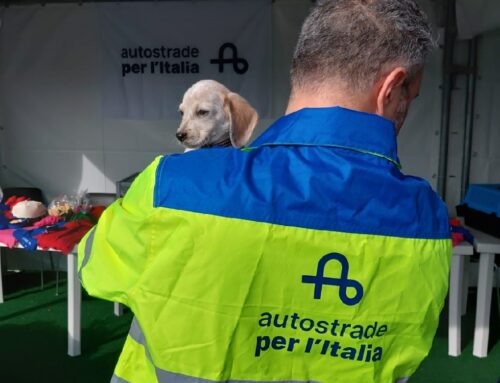 Polizia di Stato e Autostrade per l’Italia insieme a Casilina Ovest pe la sicurezza ed il benessere degli animali